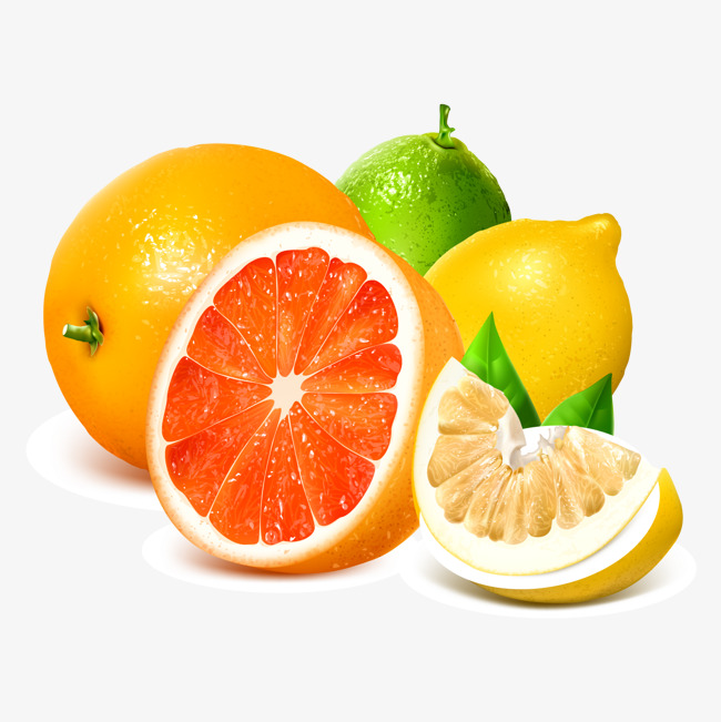 650x651 Fresh Grapefruit Citrus And Lemon Vector Material, Food, Fruit