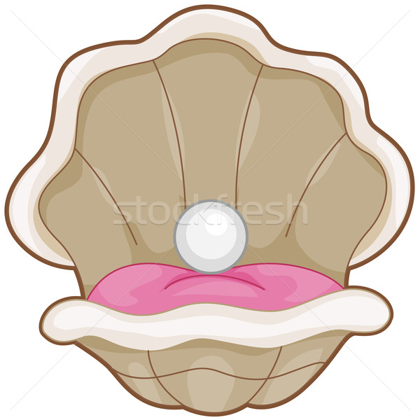 600x600 Clam Vector Illustration Lenm ( 489442) Stockfresh