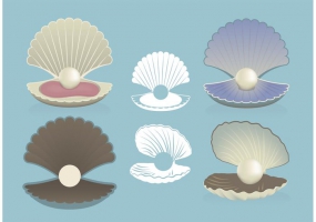 285x200 Clams Free Vector Graphic Art Free Download (Found 44 Files) Ai