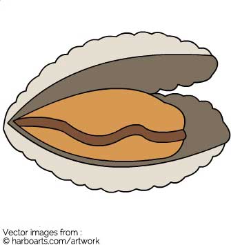 335x355 Download Open Clam