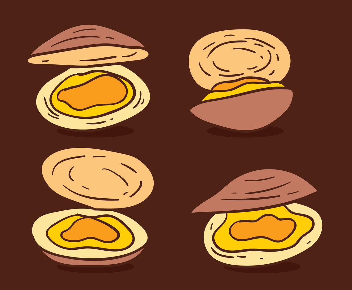 1136x936 Hand Drawn Clam Vector Vector Art Amp Graphics