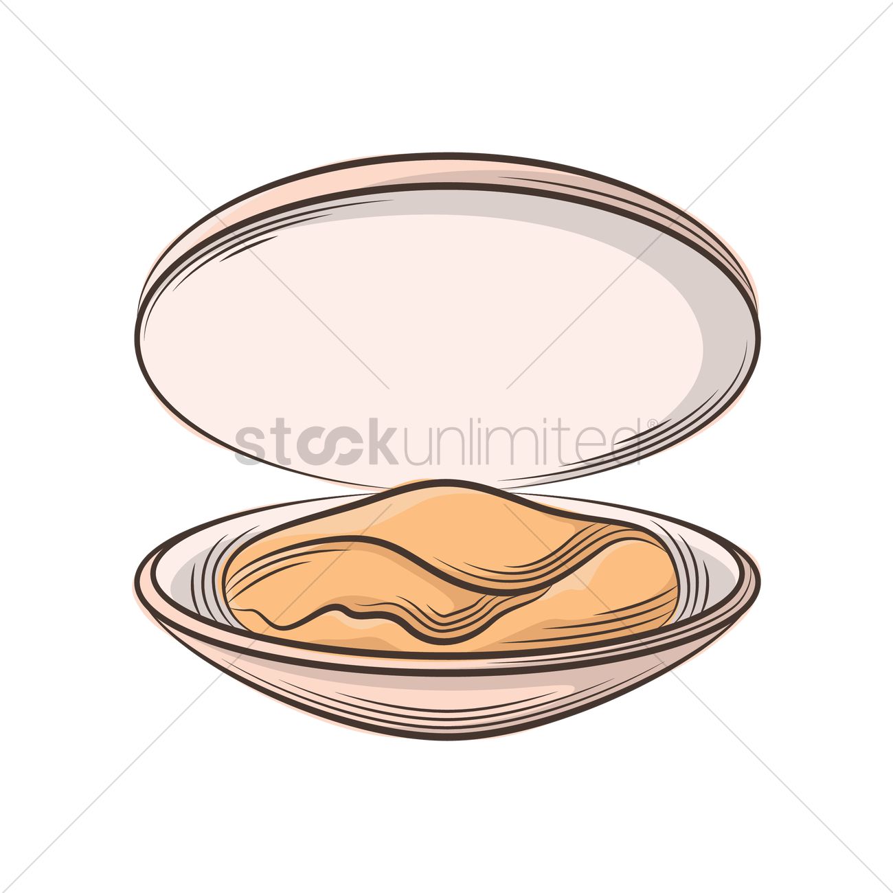 1300x1300 Clam Vector Image