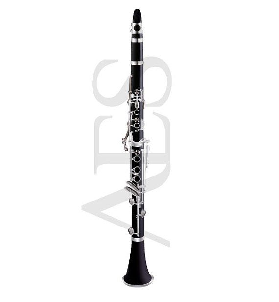 570x616 Clarinet Vector Illustration By Aeshnidaeaesthetics On Etsy
