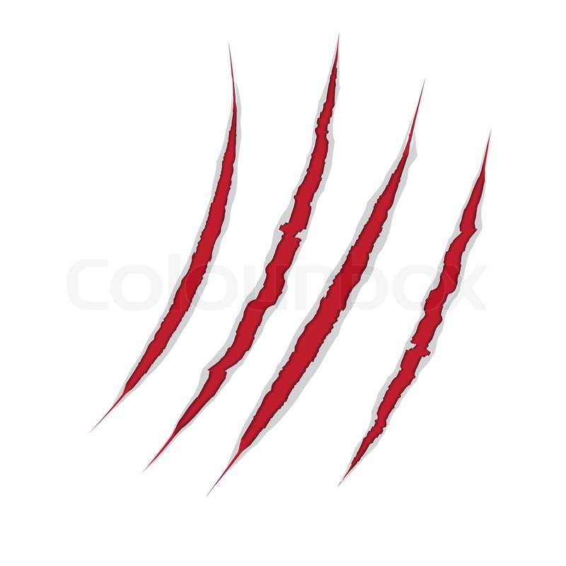 800x800 Claws Scratch On Paper Background. Vector Damage Illustration