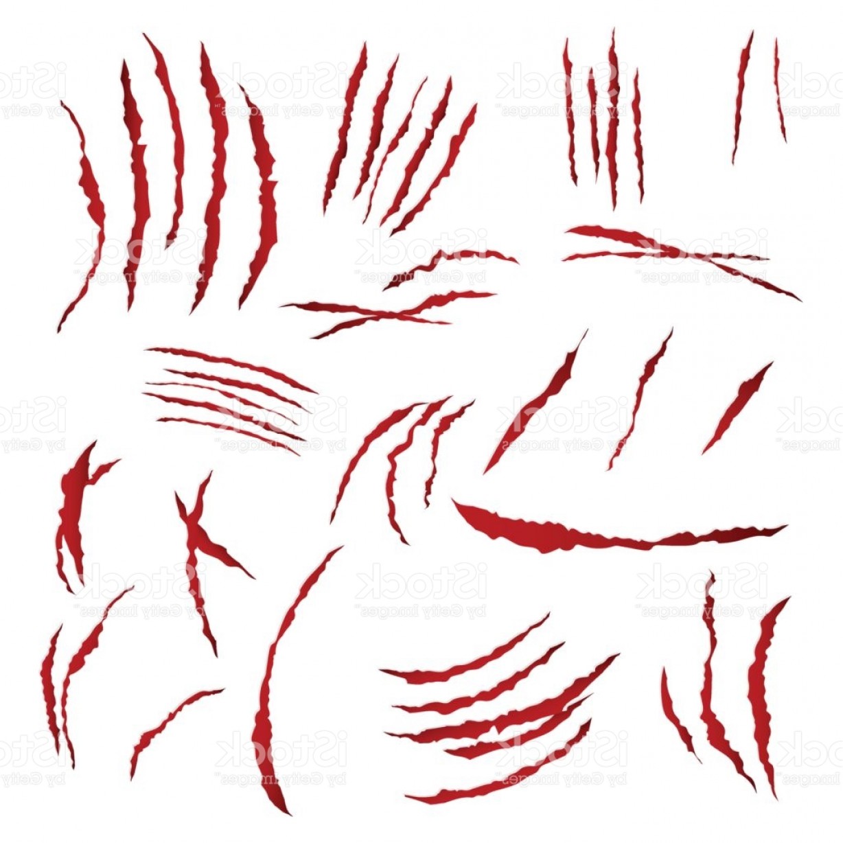 1228x1228 Claws Scratches Vector Isolated On White Background Bear Or Tiger