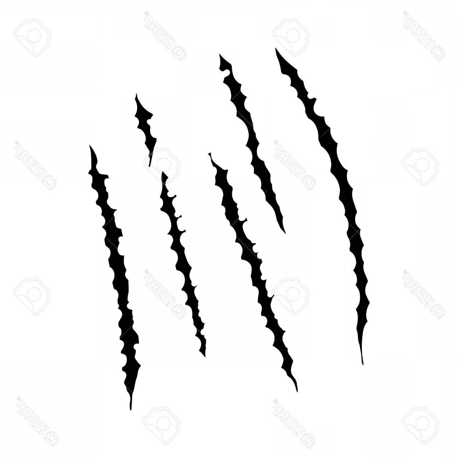 1560x1560 Photostock Vector Animal Claws Scratches Vector Illustration