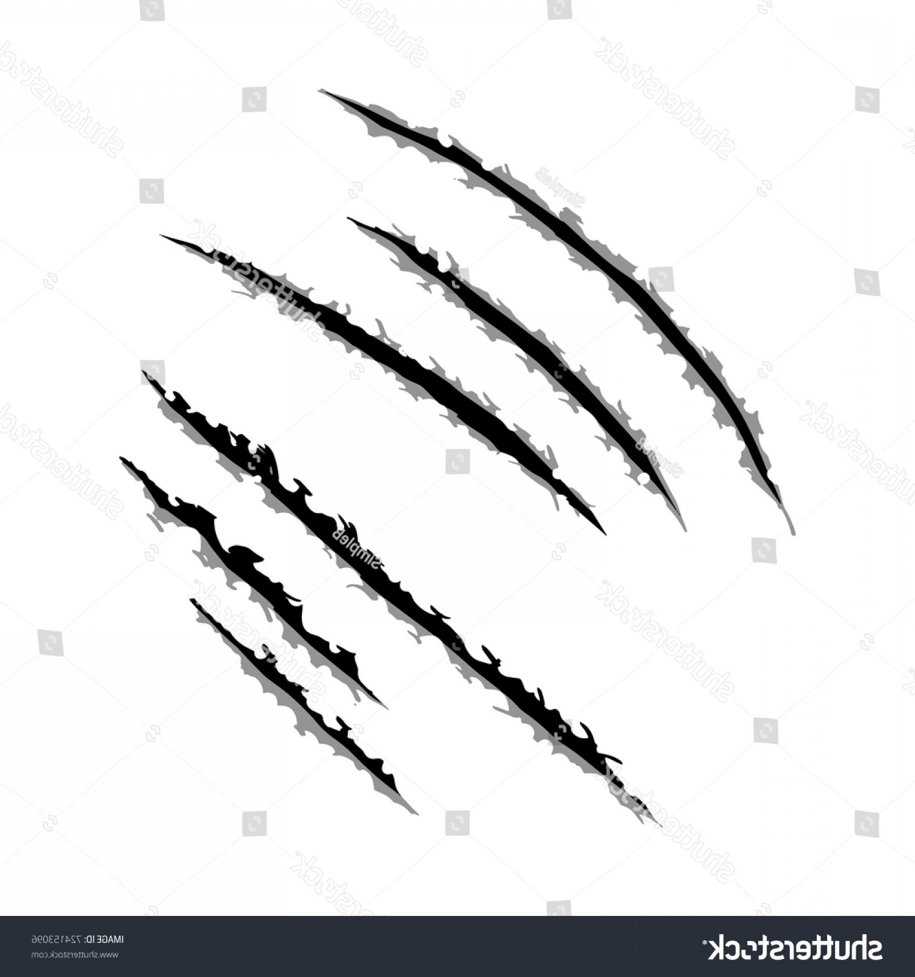 Claw Scratch Vector at GetDrawings | Free download