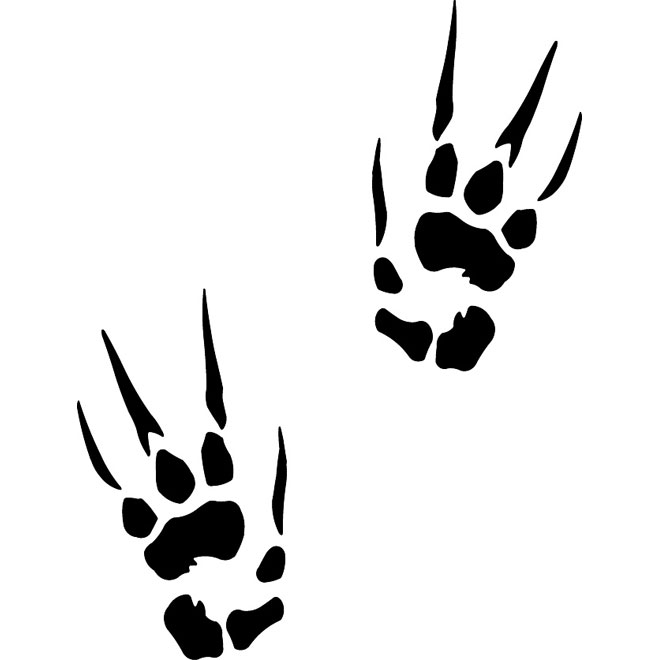 660x660 Claw Clipart Vector