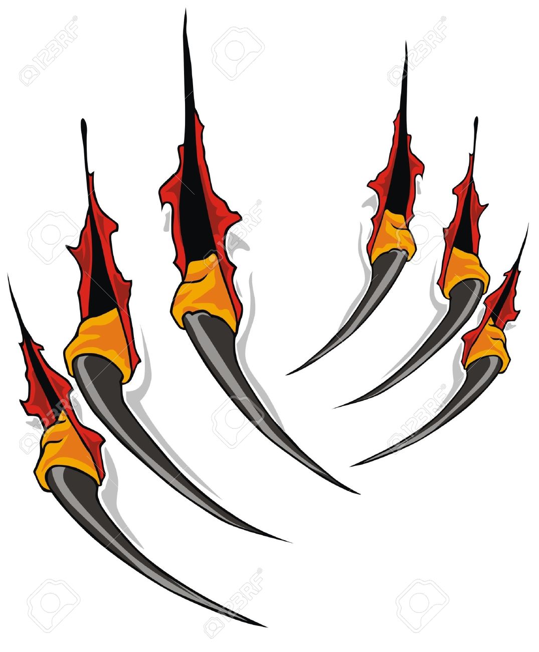 1075x1300 Claw Shaped Clipart