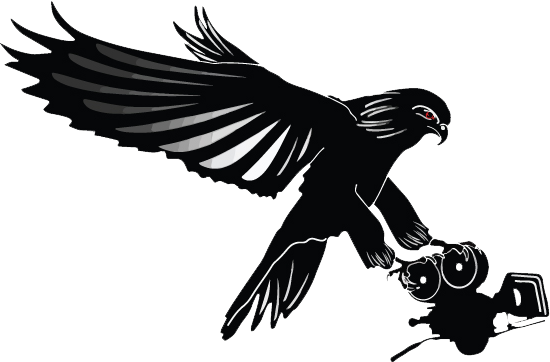 550x362 19 Claw Vector Falcon Huge Freebie! Download For Powerpoint