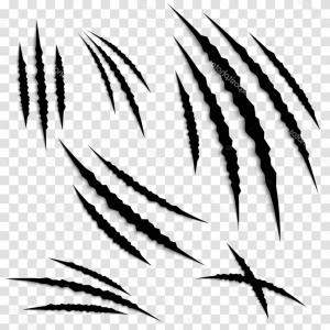 300x300 Bear Footprint With Claw Scratches Vector Arenawp