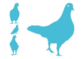 285x200 Clay Pigeon Shooting Free Vector Graphic Art Free Download (Found