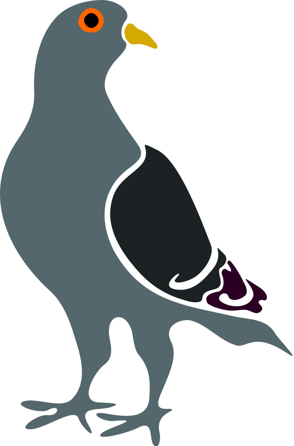 594x900 Pigeon Clipart