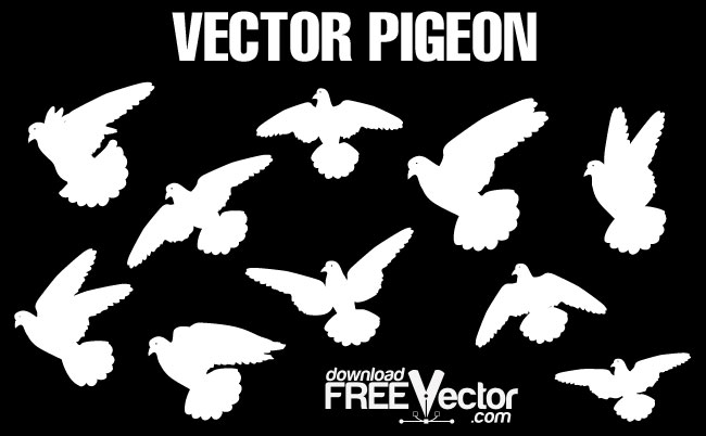 650x402 Pigeons Free Vector Free Vectors Ui Download