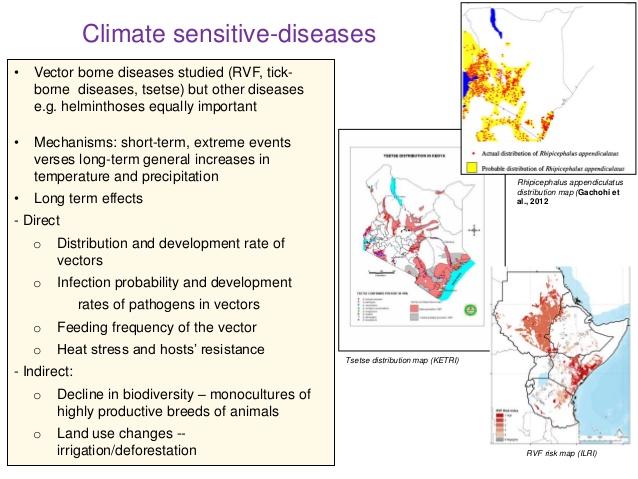 638x479 Climate Change Impacts On Animal Health And Vector Borne Diseases