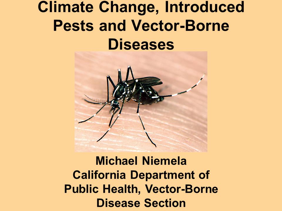 960x720 Climate Change, Introduced Pests And Vector Borne Diseases