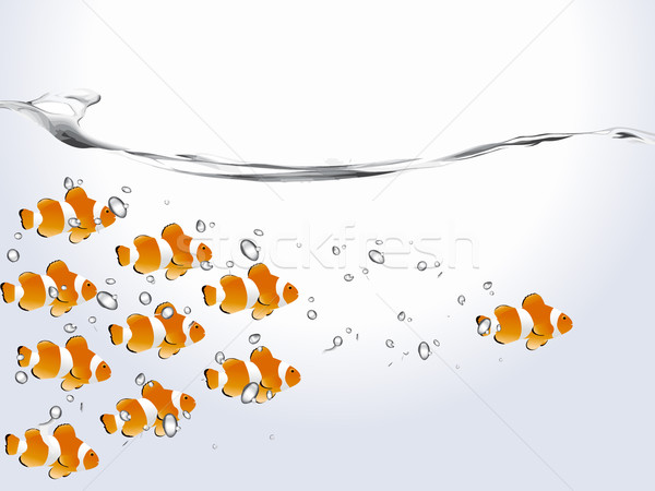 600x450 Clown Fish Vector Illustration Nabeel Zytoon (Viva) ( 321565