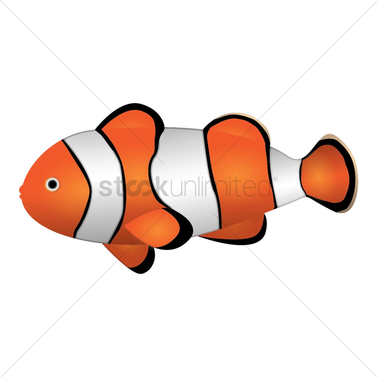1300x1300 Clown Fish Vector Image