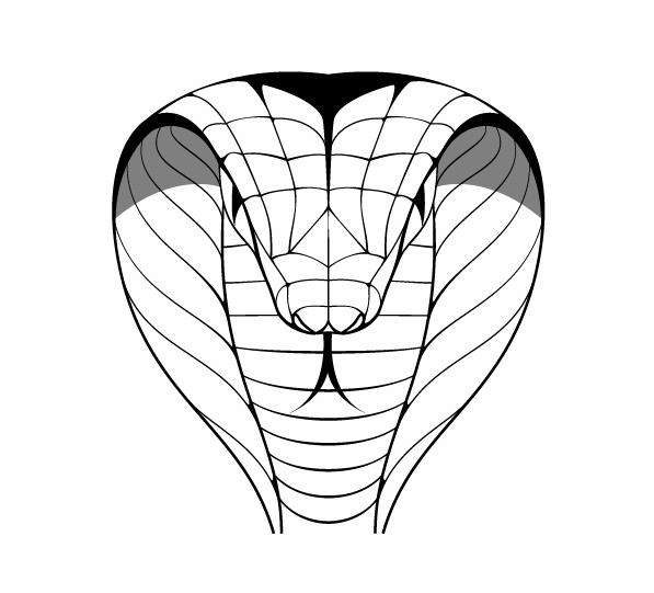 597x541 Hand Drawn Cobra Design Vector Free Download