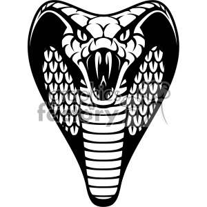 300x300 Royalty Free Cobra Vector Art 403153 Vector Clip Art Image