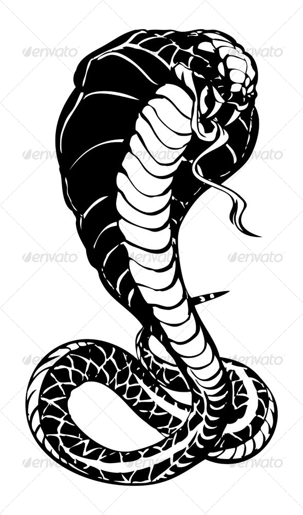 590x1003 Cobra By Namistudio Graphicriver