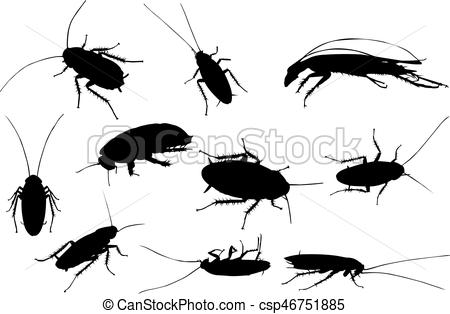 450x314 Cockroach Silhouette Vector Illustration.