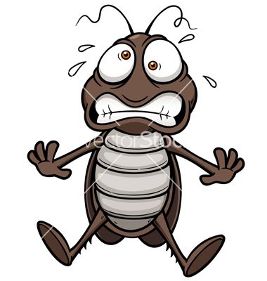 380x400 Cockroach Vector By Sararoom
