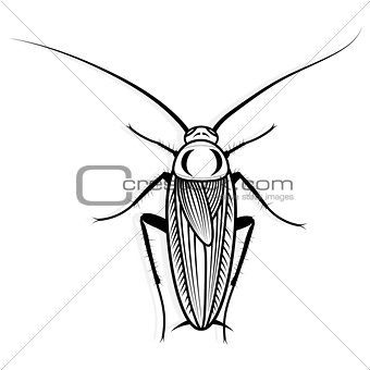 340x340 Image 7361052 Cockroach Vector Design Vector Animal Illustration