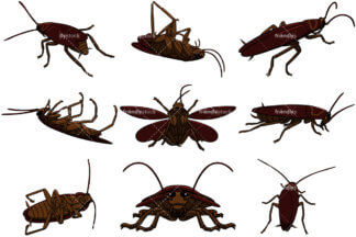 324x216 Killed Cockroach Cartoon Vector Clipart