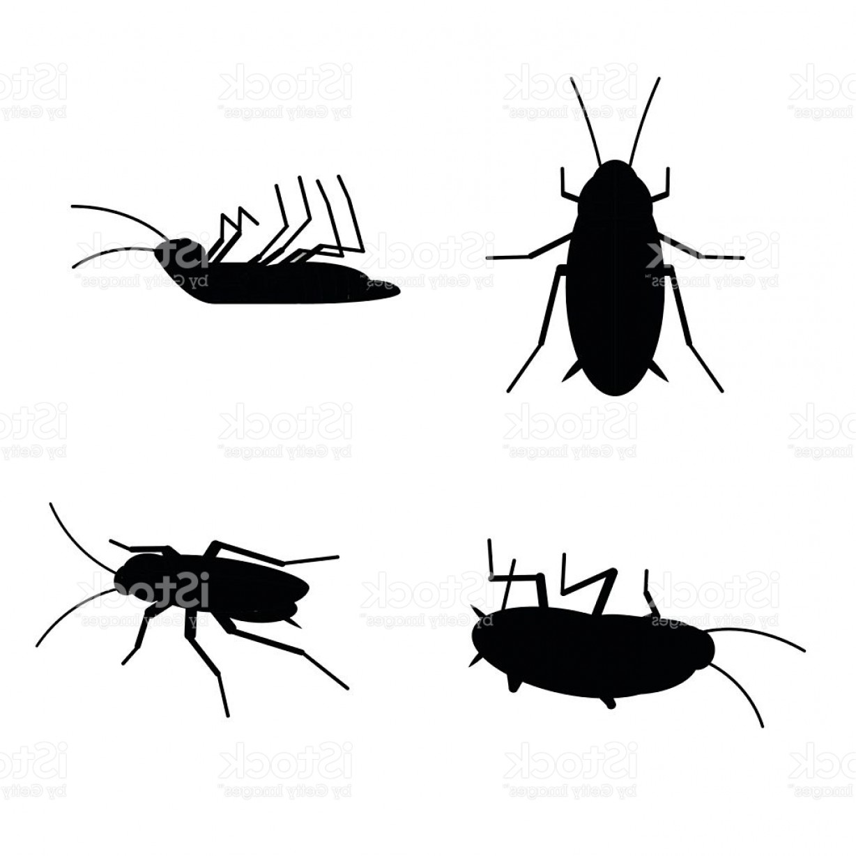 The best free Insect vector images. Download from 132 free vectors of ...