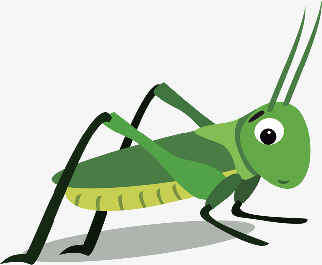 650x534 Vector Green Cockroaches, Green, Cockroach, Vector Png And Vector