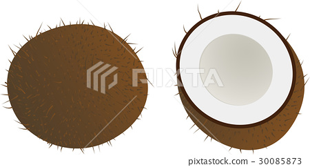 450x242 Vector, Vectors, Coco