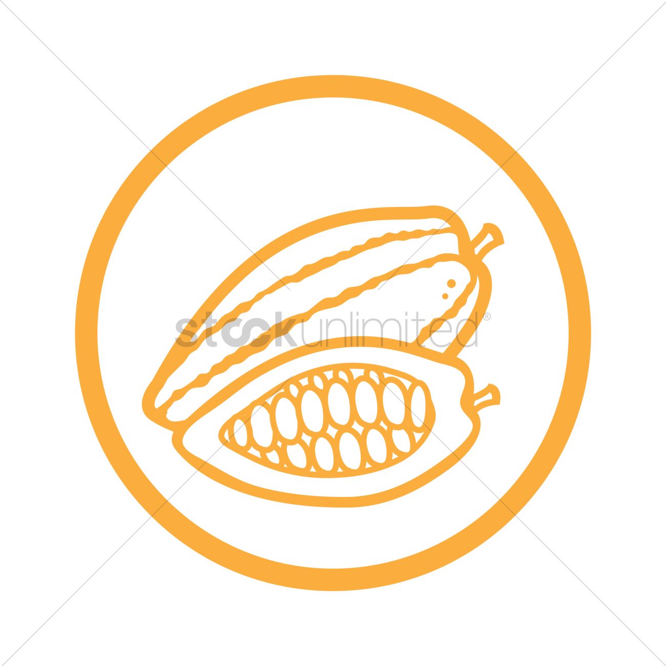1300x1300 Cocoa Bean Vector Image
