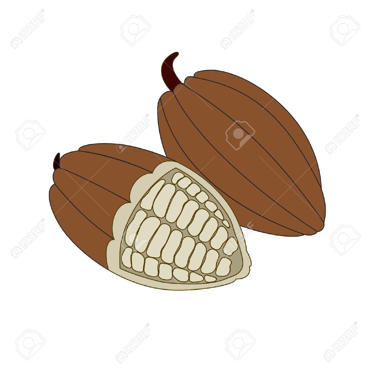 1300x1300 Cocoa Bean Clipart Black And White