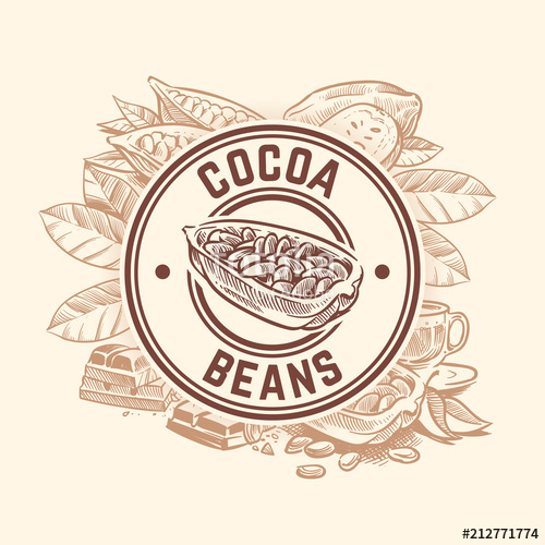 500x500 Cocoa Bean Tree. Chocolate Cacao Sketch Vector Wallpaper Stock