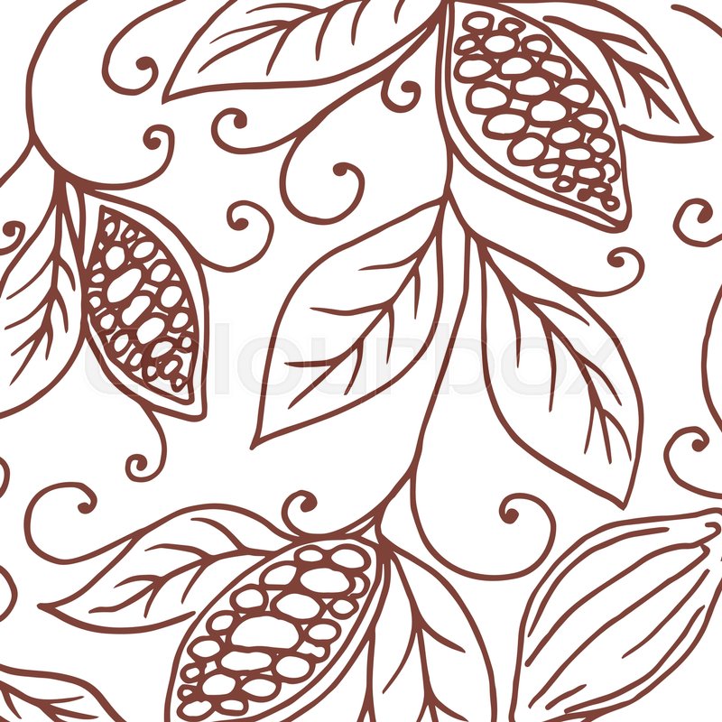 800x800 Hand Drawing Background Of Cocoa Beans. Vector Illustration