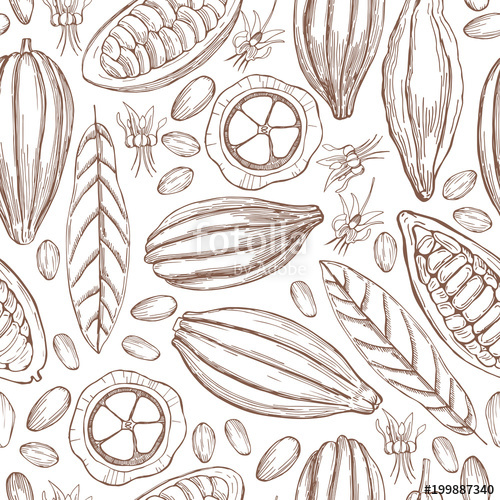 500x500 Hand Drawn Cocoa Bean.vector Seamless Pattern. Stock Image And
