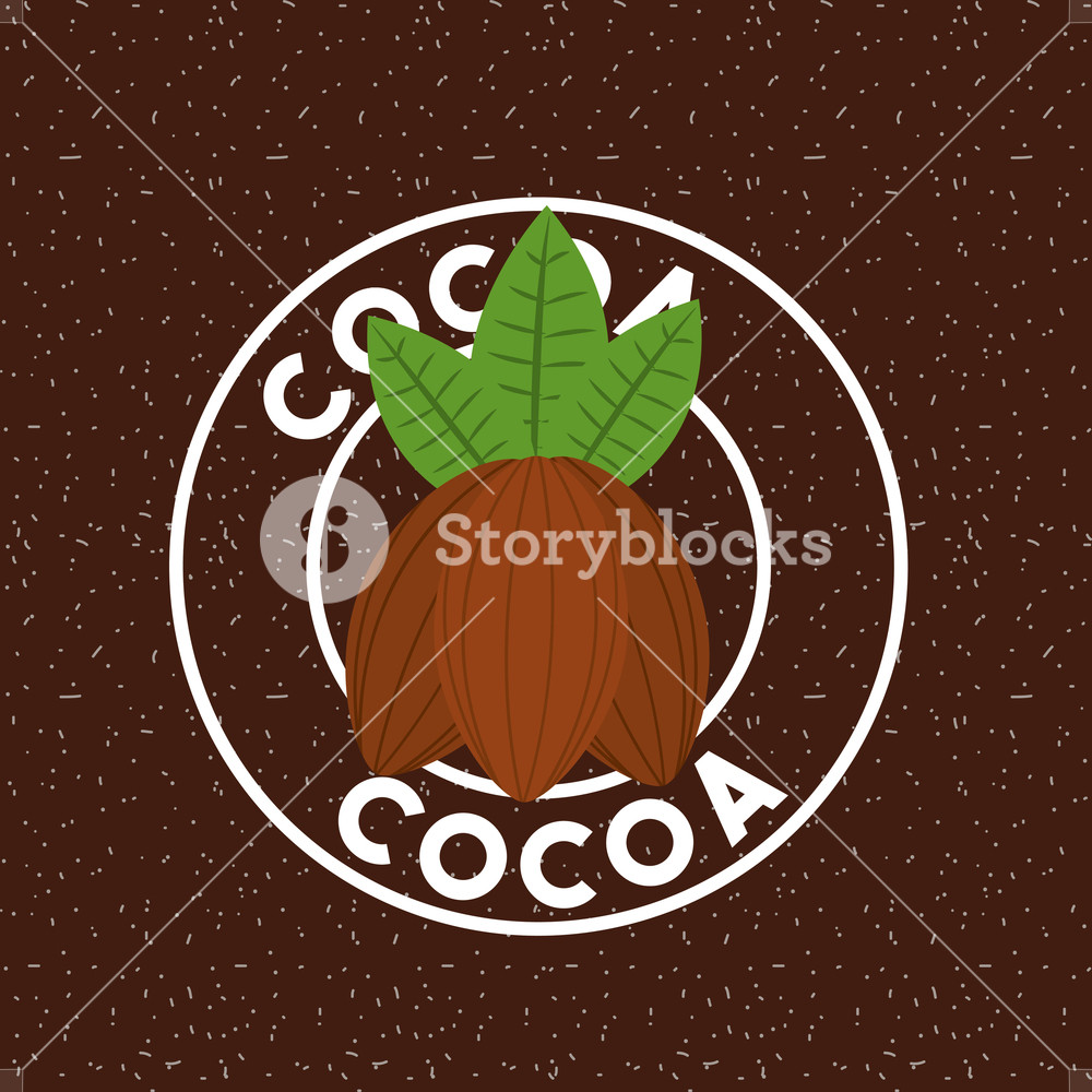 1000x1000 Fruit Of Cocoa Beans Leaves Card Vector Illustration Royalty Free