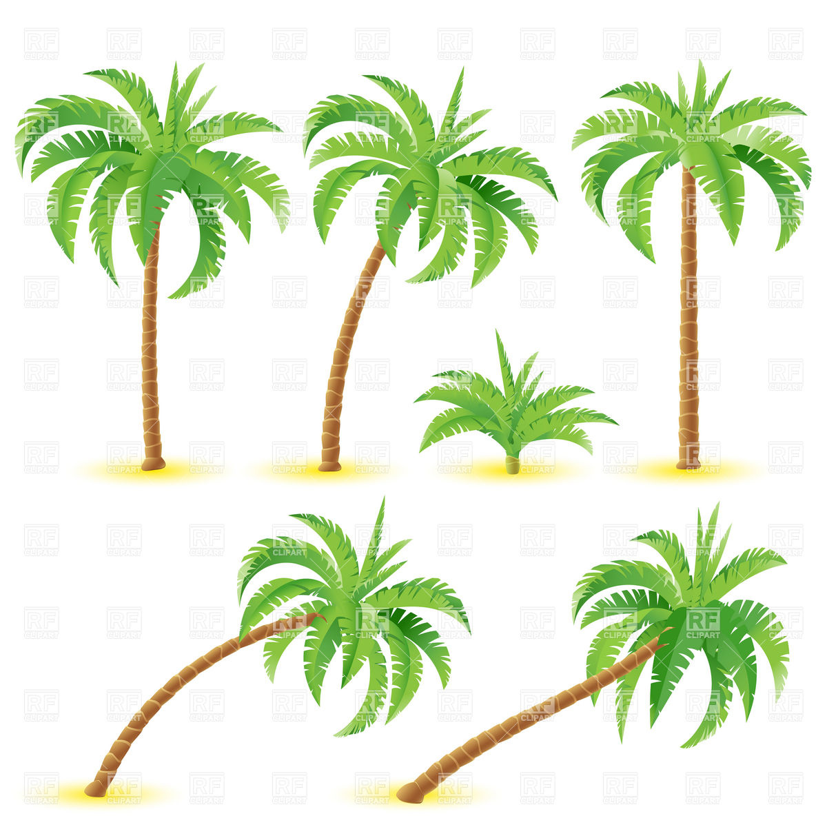 1200x1200 Coconut Palm In Different Positions Vector Image Vector Artwork