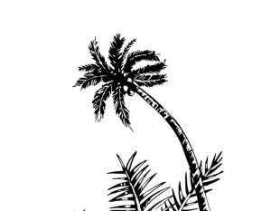 300x233 Coconut Tree Free Vectors Ui Download