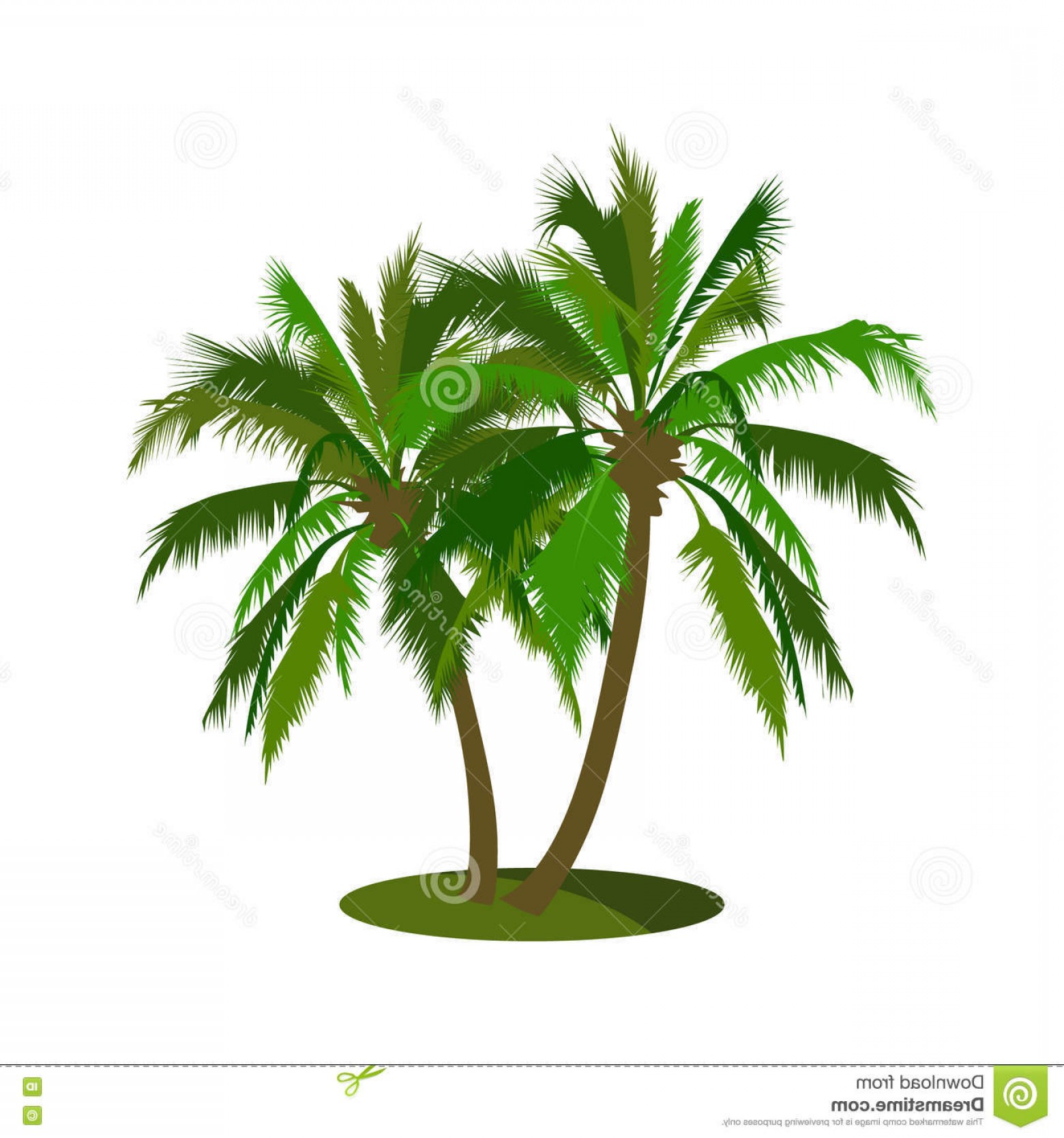 1560x1668 Stock Illustration Coconut Tree Vector Illustration Image Arenawp