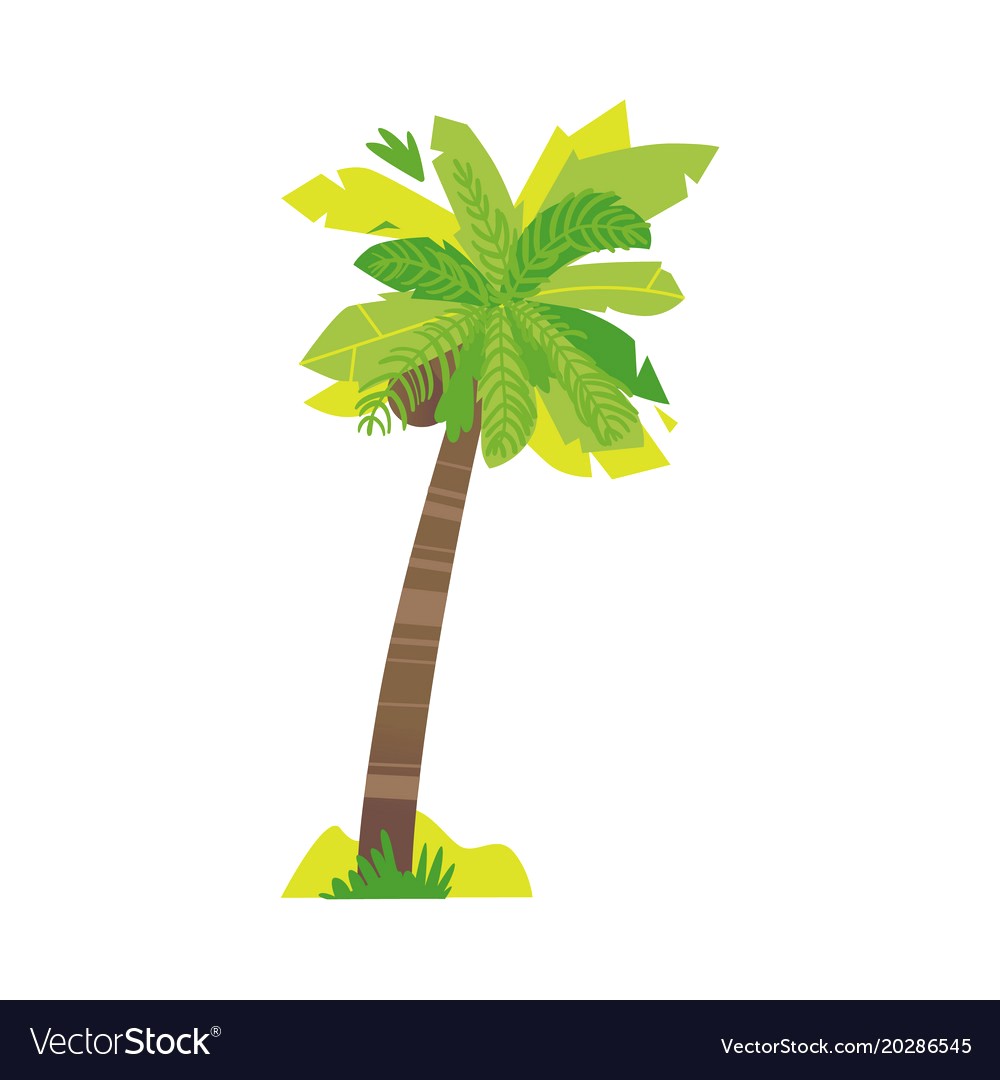 1000x1080 Stylized Flat Style Cartoon Coconut Palm Tree Vector 20286545 16