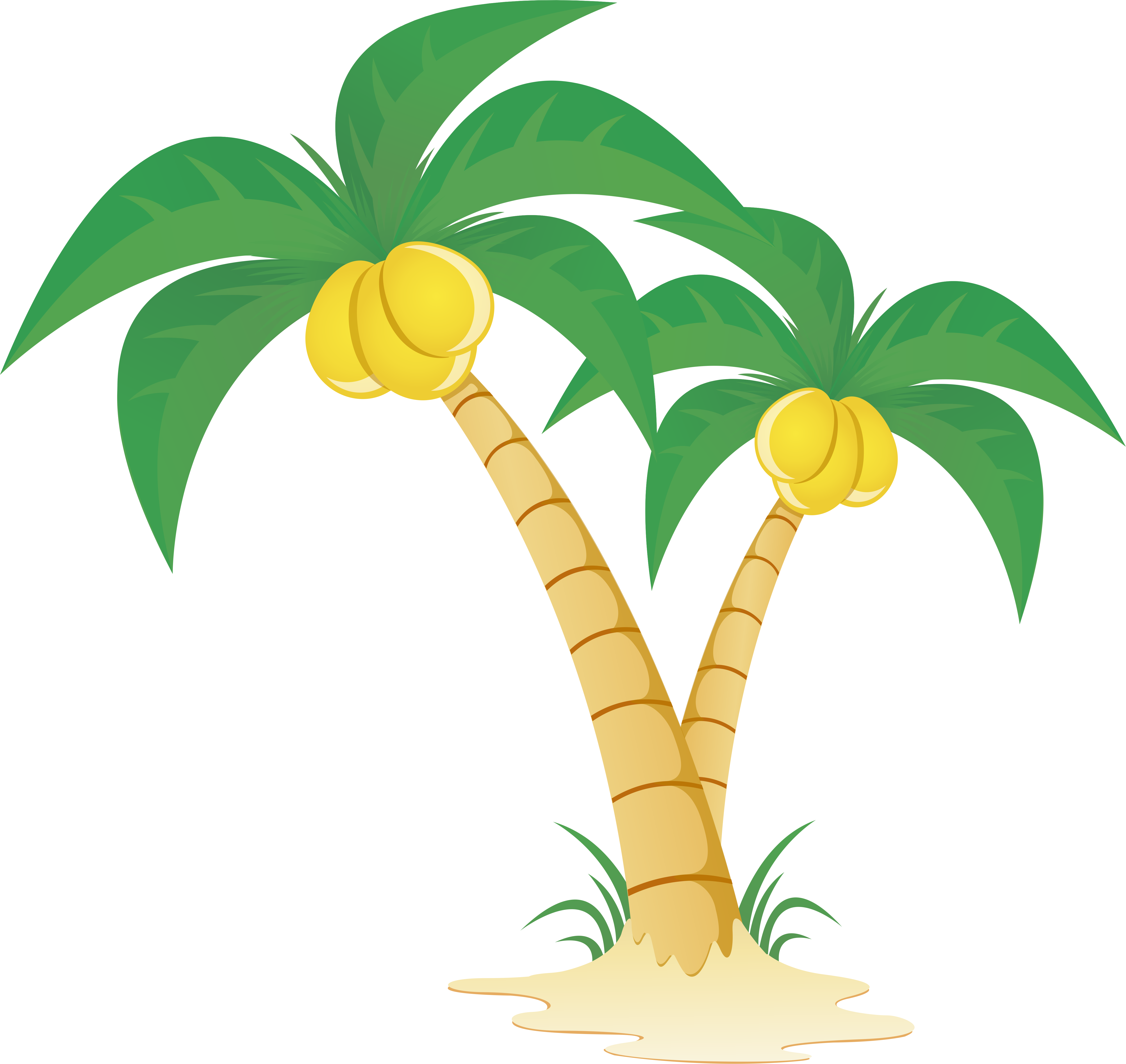 Coconut Tree Vector at GetDrawings | Free download