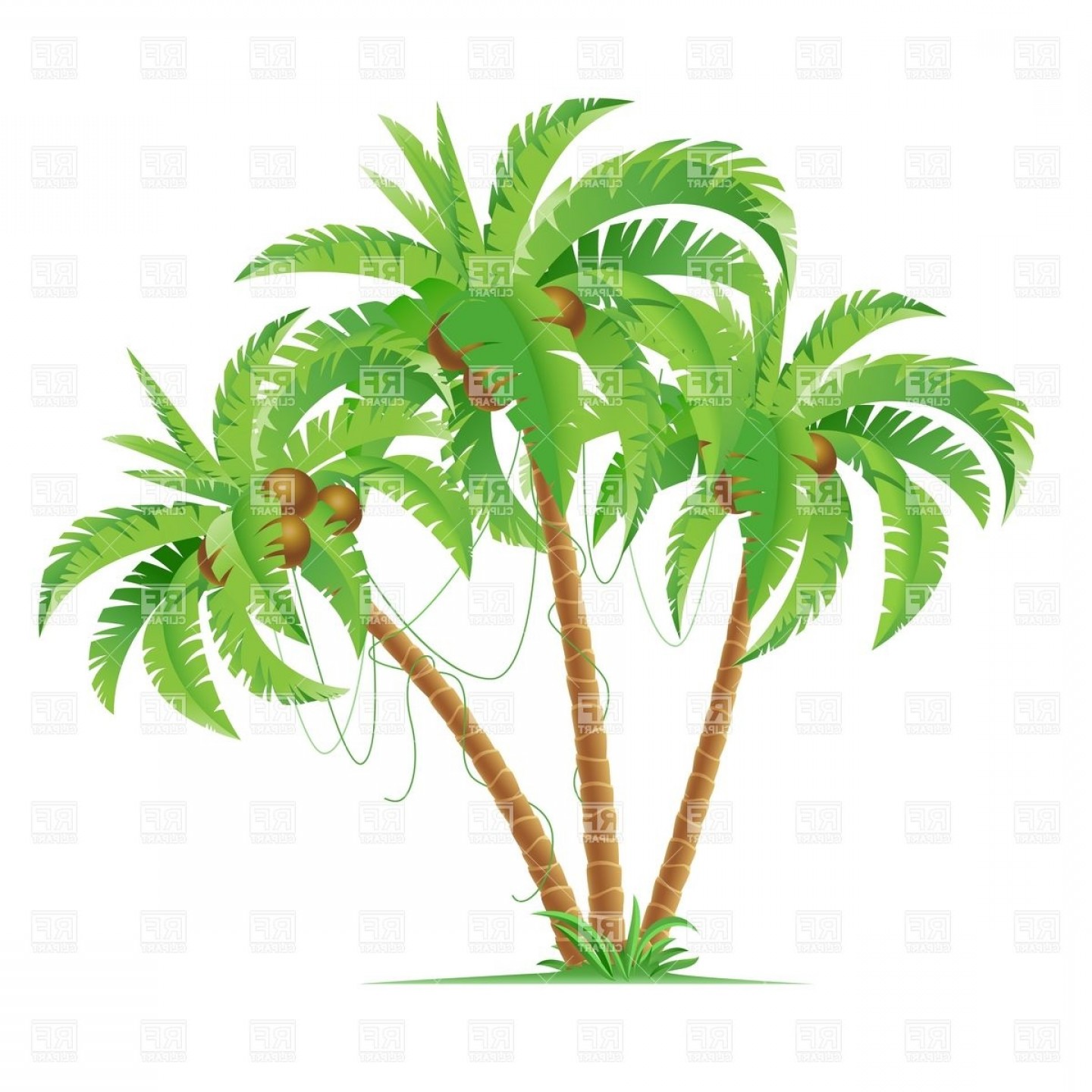 1440x1440 Three Cartoon Coconut Palm Trees Vector Clipart Sohadacouri