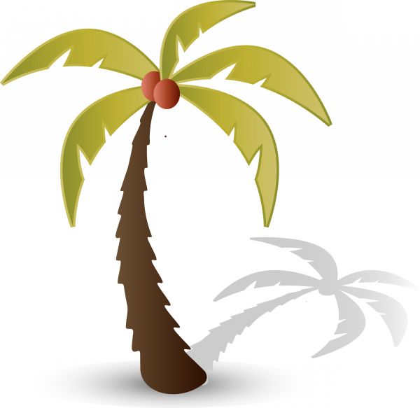 600x583 Vector Image Of Coconut Tree.