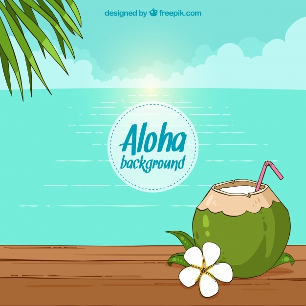 626x626 Coconut Vectors, Photos And Psd Files Free Download