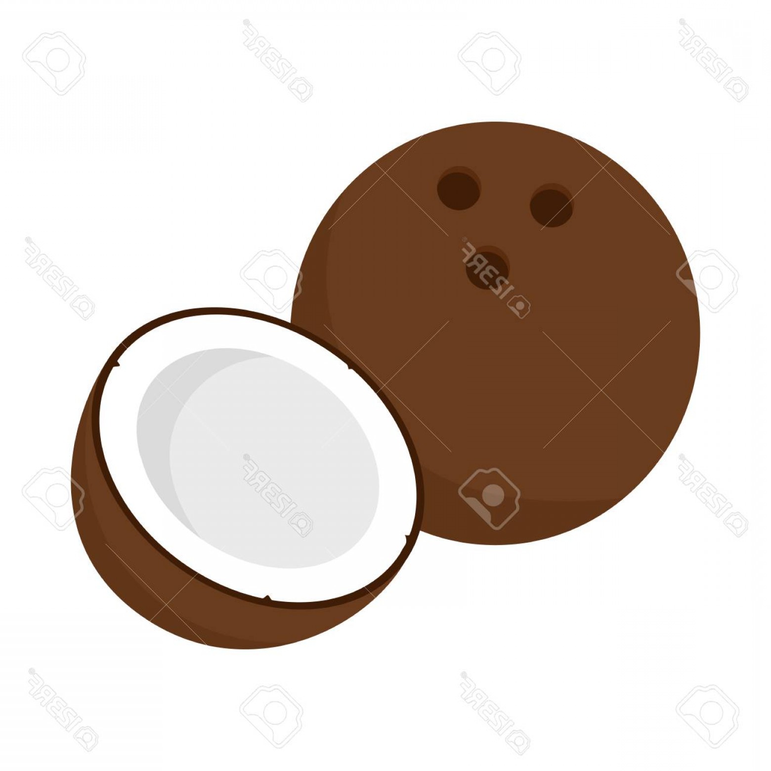1560x1560 Photostock Vector Flat Icon Coconut And Half Of Coconut Vector