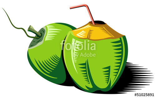 500x313 Coconut Vector Stock Image And Royalty Free Vector Files On