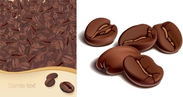594x314 Coffee Bean Drawing Free Vector Download (91,641 Free Vector) For