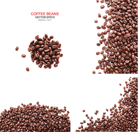 485x463 Coffee Beans With White Background Vector Free Vector In